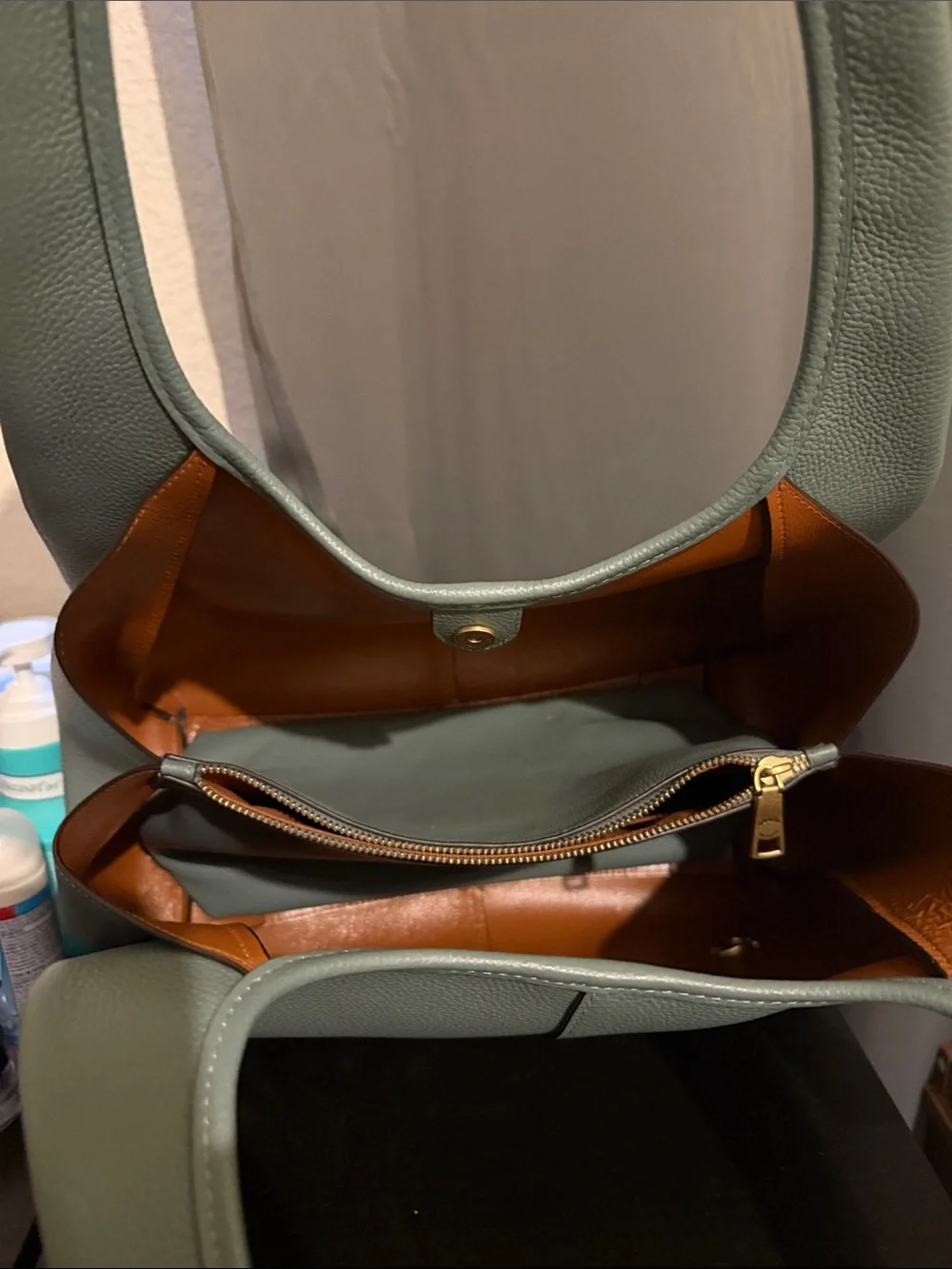 Coach Large Lana Bag in Sage